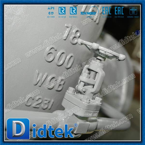 Dampf BW 18 '' WCB Gate Ventil mit Bypass