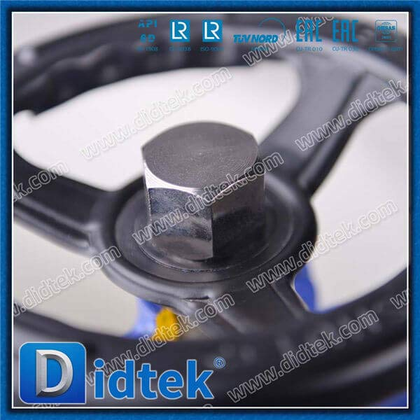 Din Bellow Globe Valve-DN50 1.0619 Handradflansch