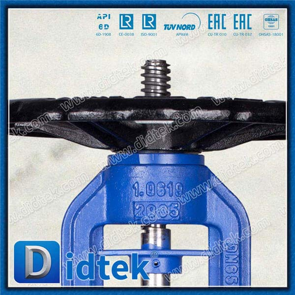 DIN 1.0619 DN65 PN40 Langes Bellow Globe Ventil