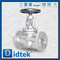 Din Globe Valve-DN50 1.4408 Handradflansch