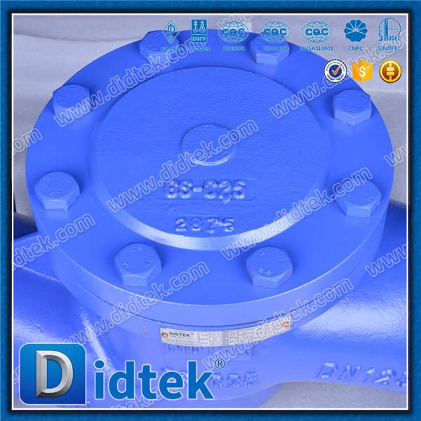 Din -Lift -Scheckventil