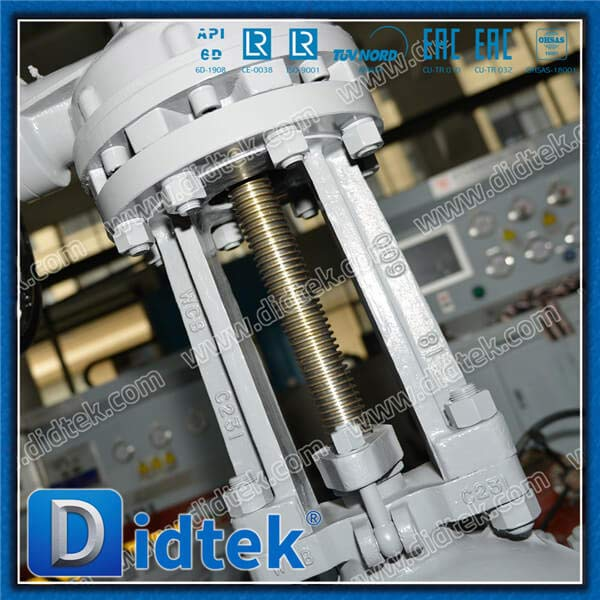 Dampf BW 18 '' WCB Gate Ventil mit Bypass