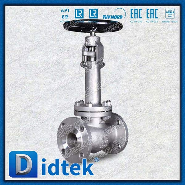 Kryogenes Globusventil mit F316 Materialtrim Nr. 10