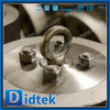 Druckdichtung CF8M Rückschlagventil RTJ