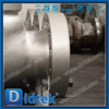 Druckdichtung CF8M Rückschlagventil RTJ