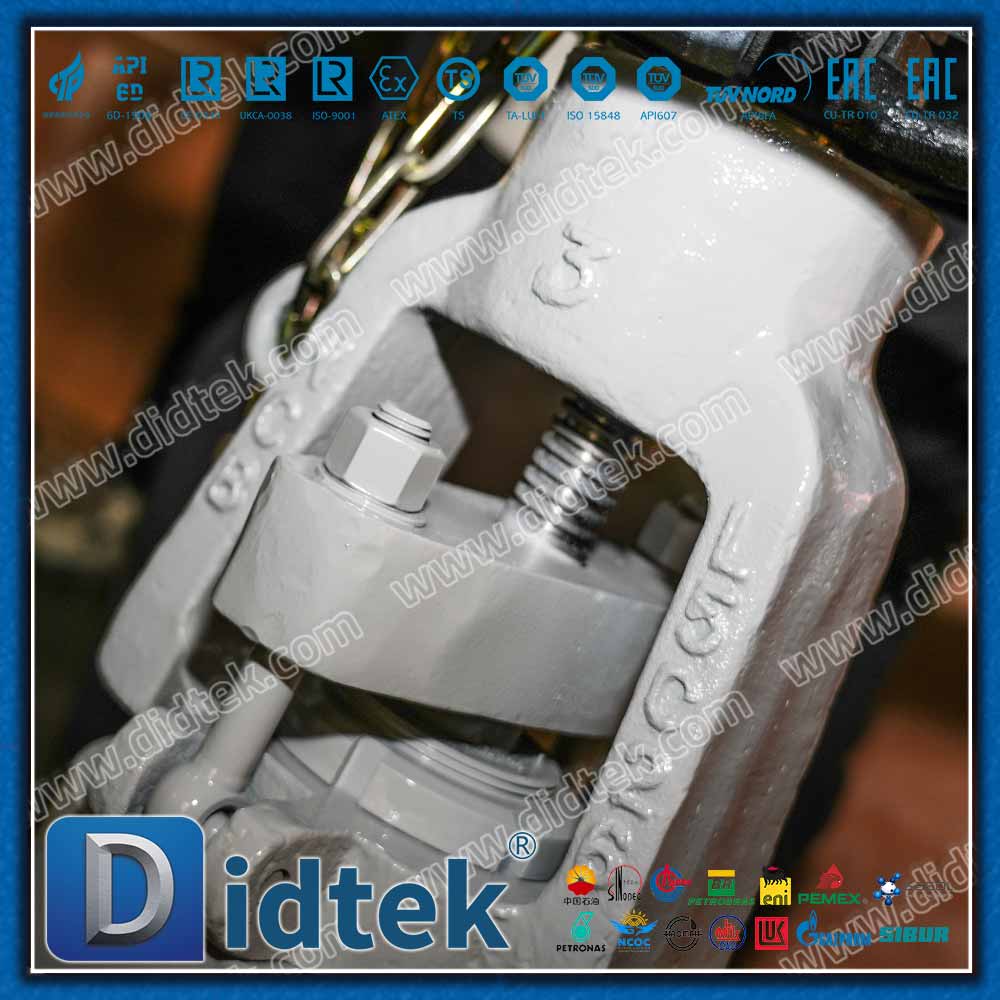 Druckdichtung 2500LB RTJ Absperrschieber 