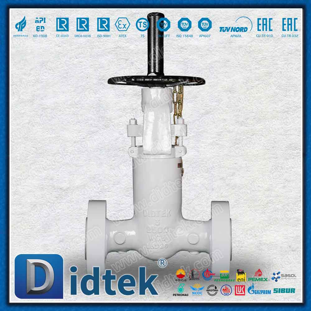 Druckdichtung 2500LB RTJ Absperrschieber 