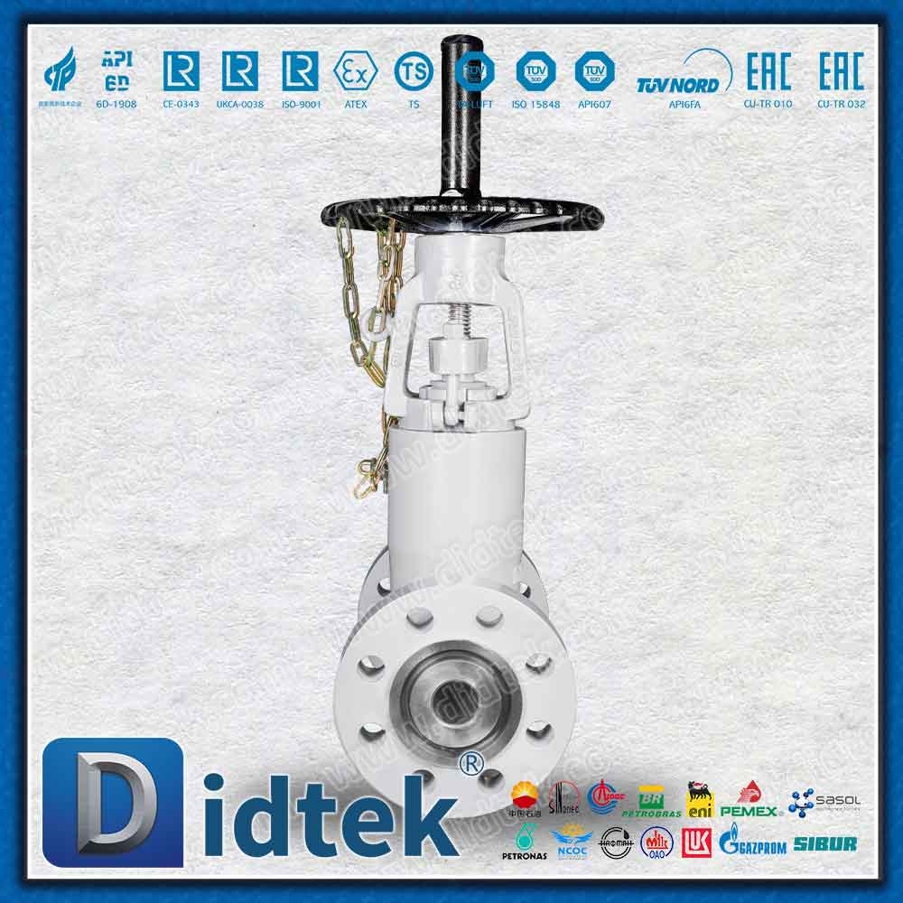 Druckdichtung 2500LB RTJ Absperrschieber 