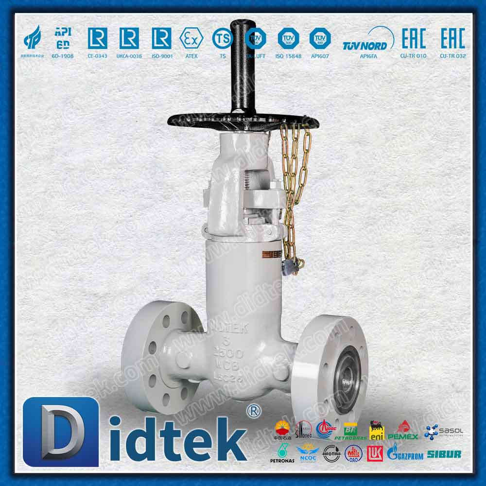 Druckdichtung 2500LB RTJ Absperrschieber 