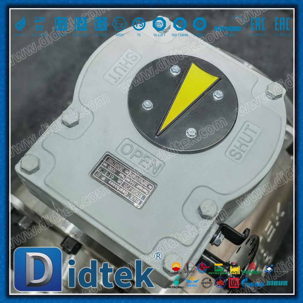 SS321 Zapfenkugelhahn mit Vakuumprüfung