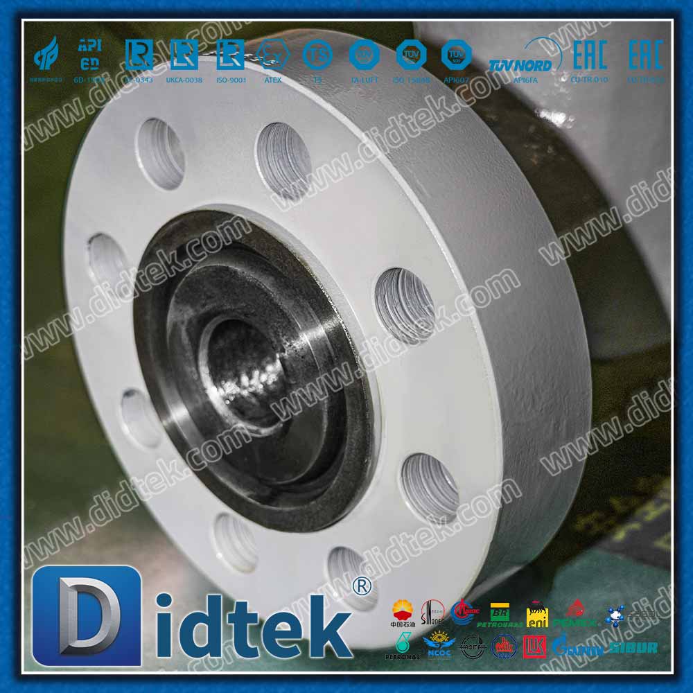 Druckdichtung 2500LB RTJ Absperrschieber 