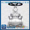 CK20 F310 Trim Drilled ASA150 Durchgangsventil