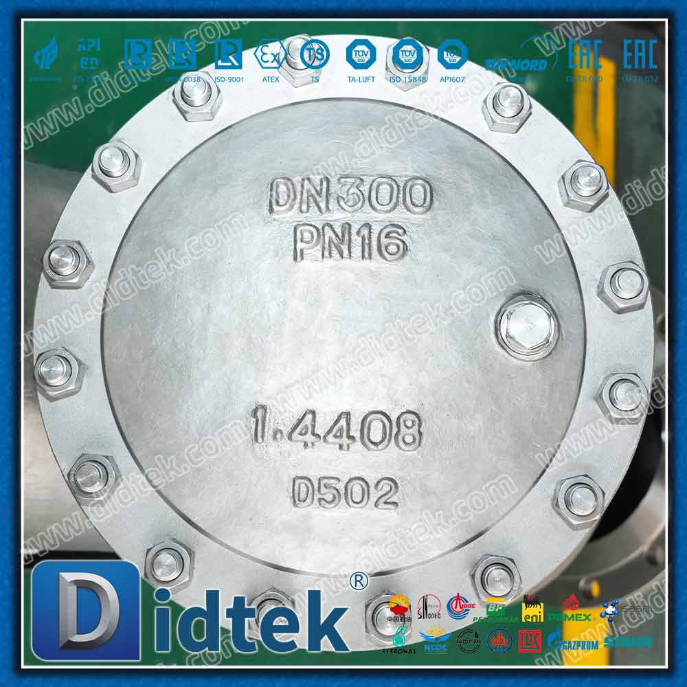 DIN EN 1.4408 Y-Sieb mit 80 Mesh