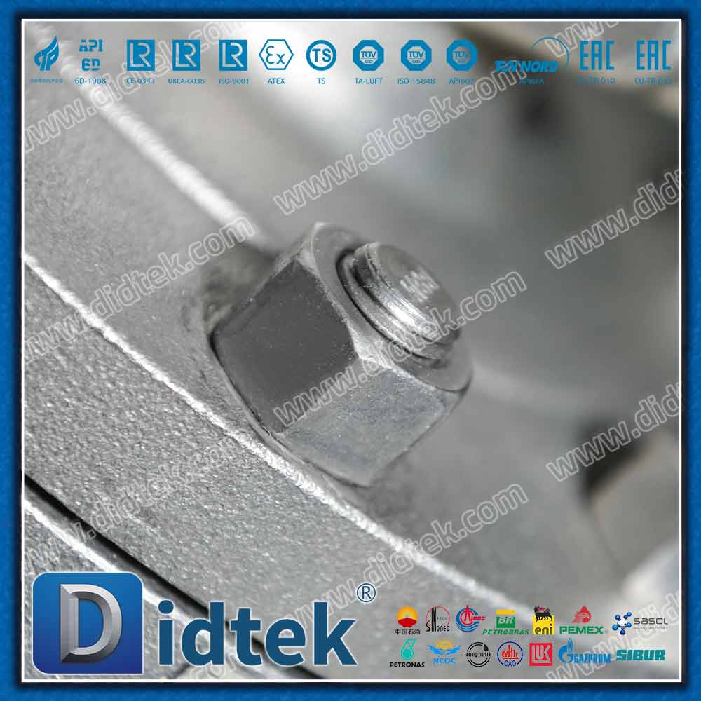 CK20 F310 Trim Drilled ASA150 Durchgangsventil